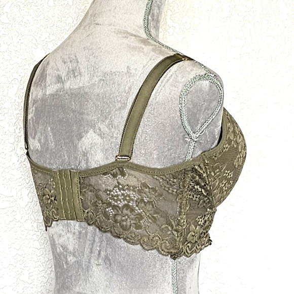 Daisy Fuentes Women's Lace Bra Size 38D Sage padded Underwire - Picture 2 of 6